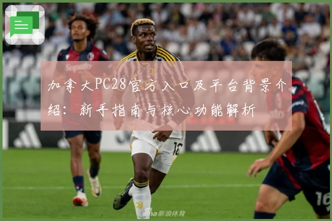 加拿大PC28官方入口及平台背景介绍：新手指南与核心功能解析