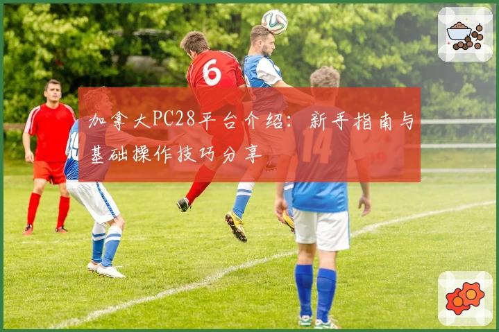 加拿大PC28平台介绍:新手指南与基础操作技巧分享