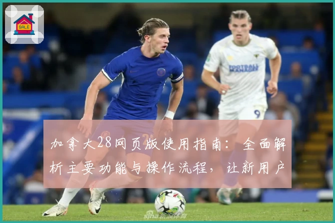 加拿大28网页版使用指南：全面解析主要功能与操作流程，让新用户轻松上手