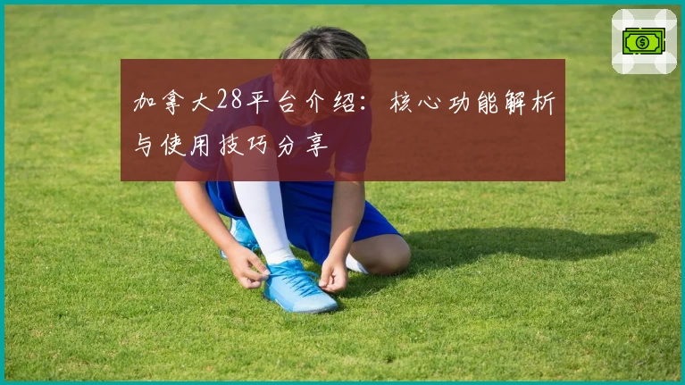 加拿大28平台介绍：核心功能解析与使用技巧分享