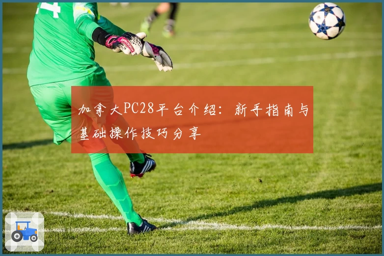 加拿大PC28平台介绍：新手指南与基础操作技巧分享