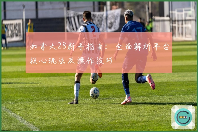 加拿大28新手指南：全面解析平台核心玩法及操作技巧