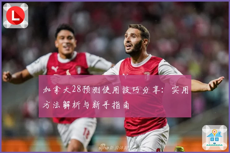 加拿大28预测使用技巧分享：实用方法解析与新手指南