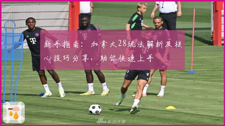 新手指南：加拿大28玩法解析及核心技巧分享，助你快速上手
