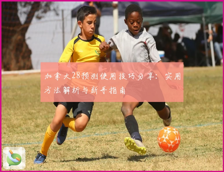 加拿大28预测使用技巧分享：实用方法解析与新手指南