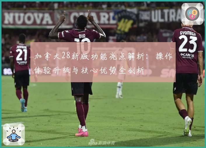 加拿大28新版功能亮点解析：操作体验升级与核心优势全剖析