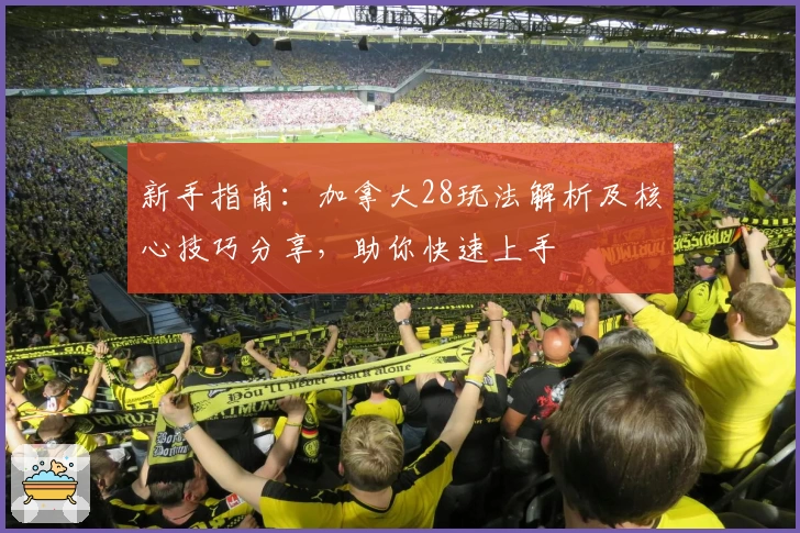 新手指南：加拿大28玩法解析及核心技巧分享，助你快速上手