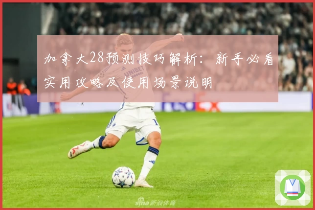 加拿大28预测技巧解析：新手必看实用攻略及使用场景说明