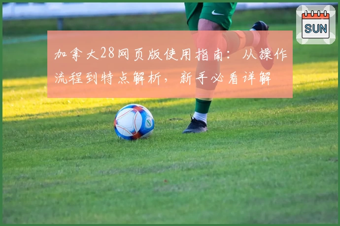 加拿大28网页版使用指南：从操作流程到特点解析，新手必看详解