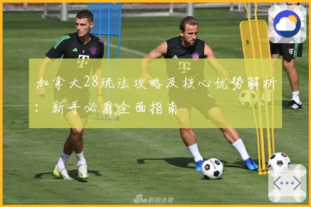 加拿大28玩法攻略及核心优势解析：新手必看全面指南