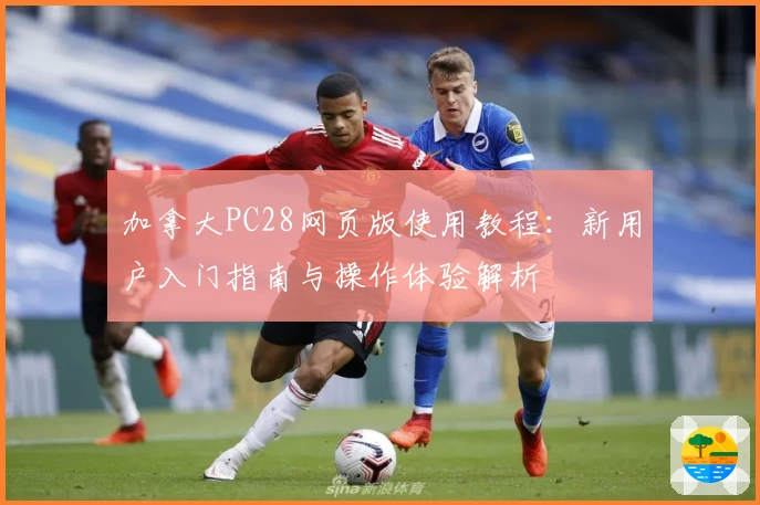 加拿大PC28网页版使用教程：新用户入门指南与操作体验解析